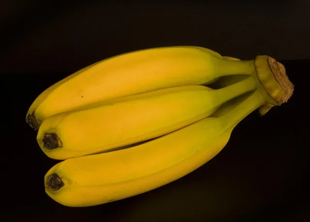 Fistule obstétricale