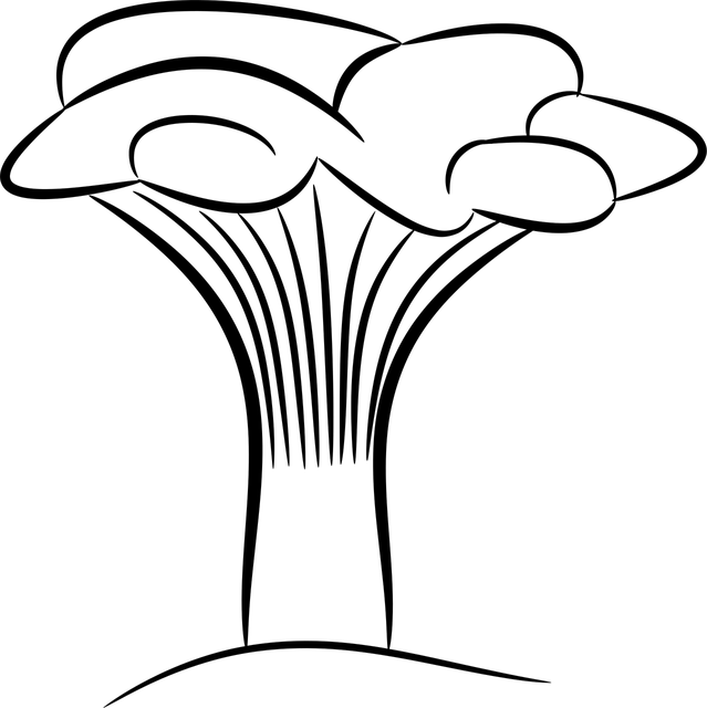La phytothérapie, Pierrette Moal et Myriam Reffay 2/2  (2)