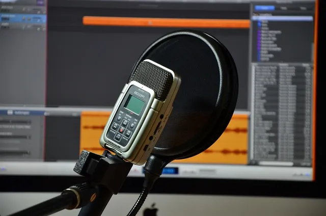 Le CV AUDIO