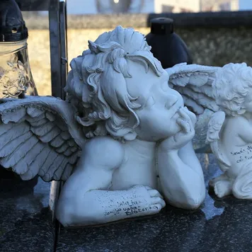 cherub