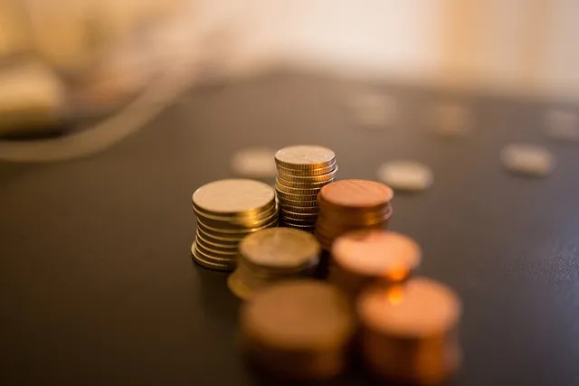 Le Pôle Territorial Sud Gironde organise son 3ème Salon Silver Economie