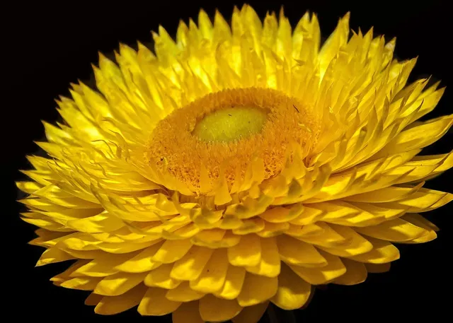 Naturopathie