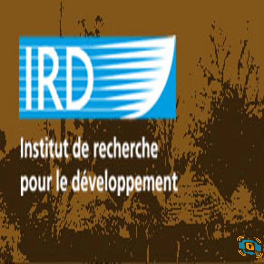 irds