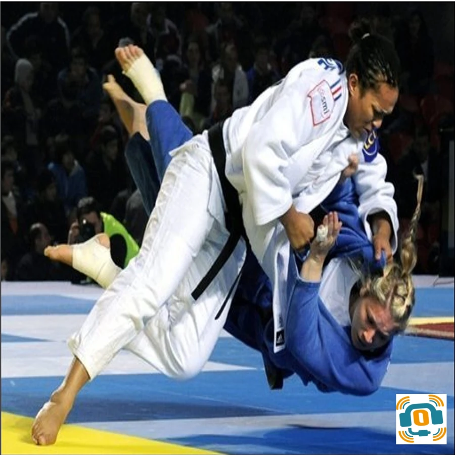 judo