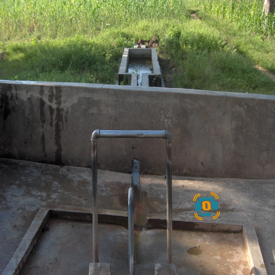 palu3
