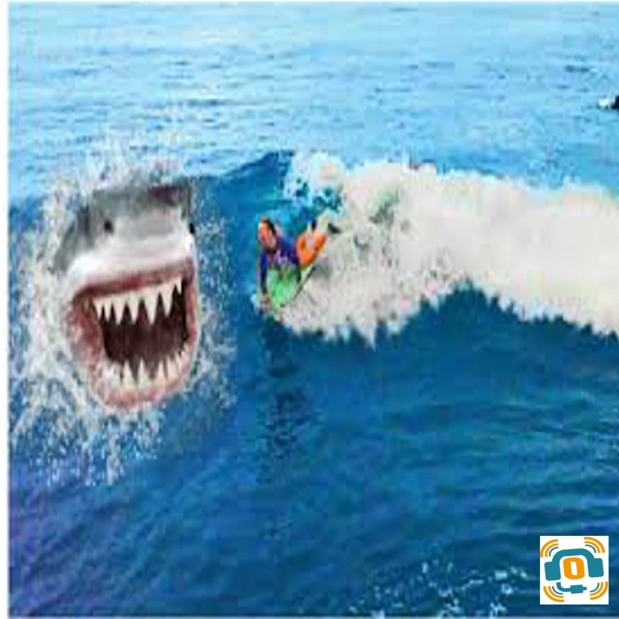 surfendanger